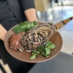 プレゼンテ スギ - ヤマドリ