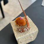 プレゼンテ スギ - ③大原産800gサイズ伊勢海老（剥き身の塩麹マリネ、殻パウダーとホワイトチョコで伊勢海老の生チョコ、頭スープのゼリーシート、カキドオシ）