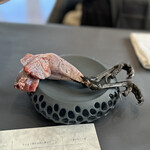 プレゼンテ スギ - カラス