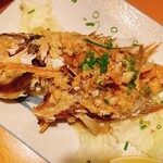 Izakaya Bochira - 