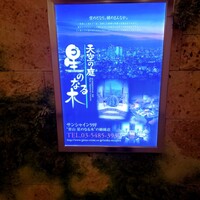 天空の庭　星のなる木 - 