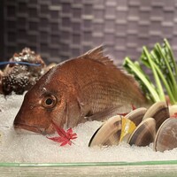 銀座 kappou ukai 肉匠 - 