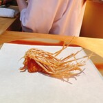 Tempura Kisshou - 