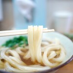 手打ちうどん こげら - 太目