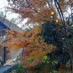 むあ文庫 - お店のお庭は紅葉が見られました。2023.12上旬