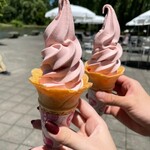 タリアセンコーヒーショップ - 