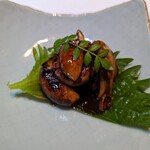 かぼちゃのたね - 