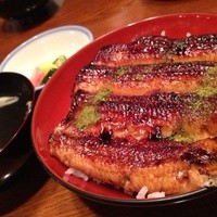 吉寅 - 肉厚のうなぎがどーんとのっています！！