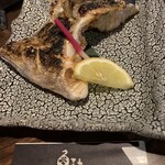 Gyosui - カンパチのカマ　塩焼き