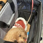 THE NUTS EXCHANGE - リュックで♪