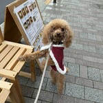 THE NUTS EXCHANGE - 外の椅子でちょーだいポーズ♪