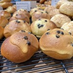 ALOFT - チョコチップ