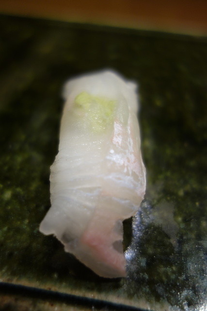 鮨すず木 すしすずき 本郷三丁目 寿司 食べログ 鮨すず木 すしすずき 本郷三丁目 寿司 食べログ