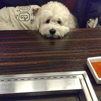 焼肉ぽんが 江ノ島 - 