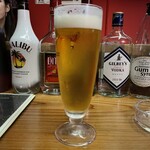 アミューズメントバー ドア - 