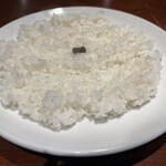 DEVIL CURRY - ライス