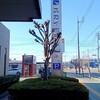 日本料理 さわふく - 