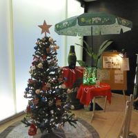 リュクス ダイニング ハプナ - あっちにもこっちにも、クリスマスツリー