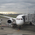 ドトールコーヒーショップ - その他：羽田空港