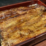 Unagi Idumi - 