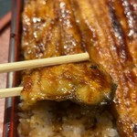 Unagi Idumi - 