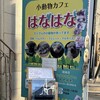 小動物カフェ はなはな