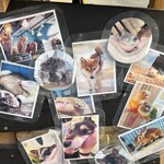 小動物カフェ はなはな - 