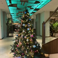 MAIN DINING sereno(THE MARK GRAND HOTEL) - 