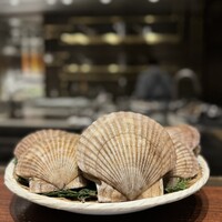 スガラボヴィー - 