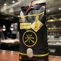 スガラボヴィー - 