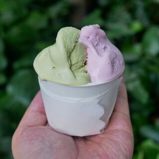 パンチェーラ_0