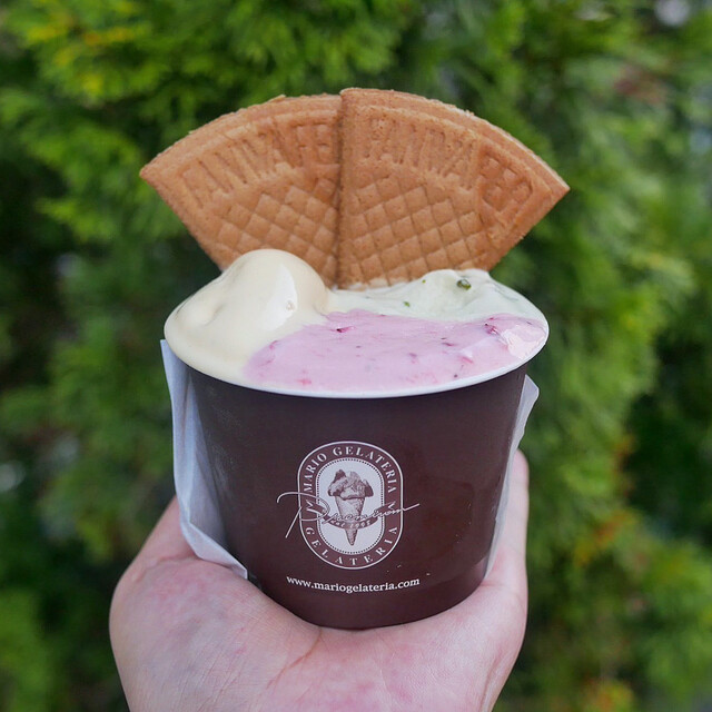 Premium Mario Gelateria Shinjuku Isetan Ten photo