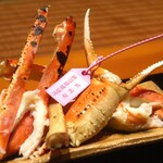 Kouan - 兵庫県柴山産の焼き松葉ガニアップ