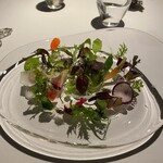 レフェルヴェソンス - 