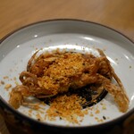 NOGI - 