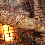 Yuzu Jidori Gyokai Semmon Ten Kanya - 脂の乗った秋刀魚の炭火焼き。炭火でふっくらジューシー。