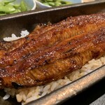 うなぎ四代目菊川 横浜ベイクォーター店 - 