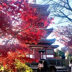 okinawaizakayachurasammaru - 本土寺