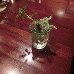 ステーキ＆ワイン オクソン - 屋上で育ててらっしゃるハーブ。