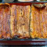 Unagi Hamana - 