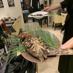 プレゼンテ スギ - 