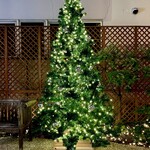 Cellar Door Aoyama The Salon - 