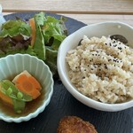 Wakanouracafe Malerei - 和歌の浦ランチプレートのお野菜の小鉢、生姜のドレッシングのサラダ、玄米