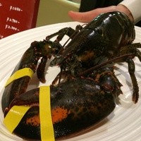オッティモ・シーフード・ガーデン 新宿店 - オマール海老　生きてます