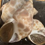 池田鮮魚 - つぶ貝