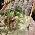 貝料理専門店 貝しぐれ - 