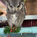 小動物カフェ はなはな - 