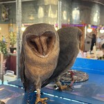 小動物カフェ はなはな - 