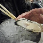 8TH SEA OYSTER Bar - 