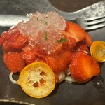 オッジ ダルマット - 